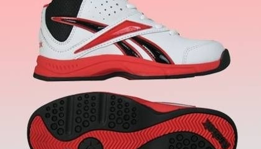 Reebokın Basketbol Ayakkabısı Laniack