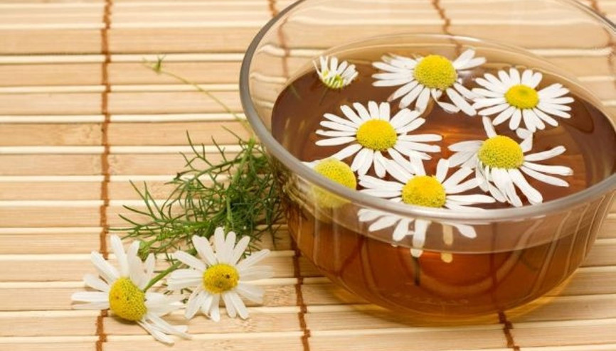 Ağrı kesici yerine mayıs papatyası