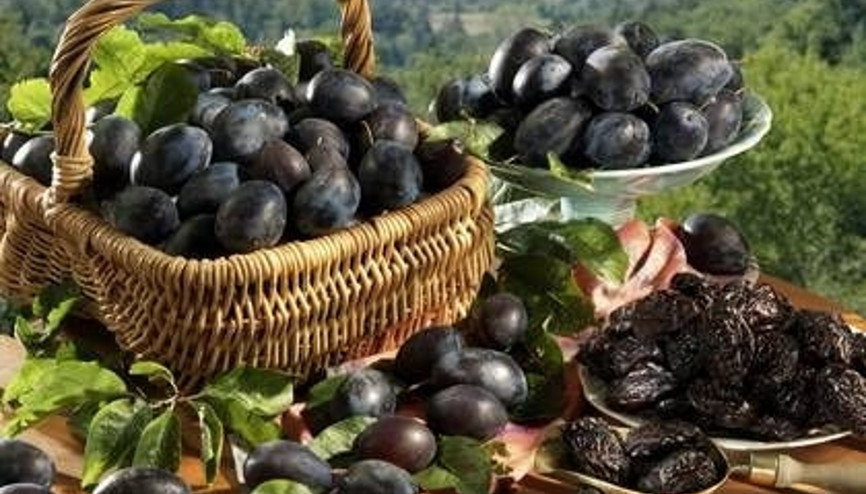 Kuru erik hafızayı güçlendiriyor