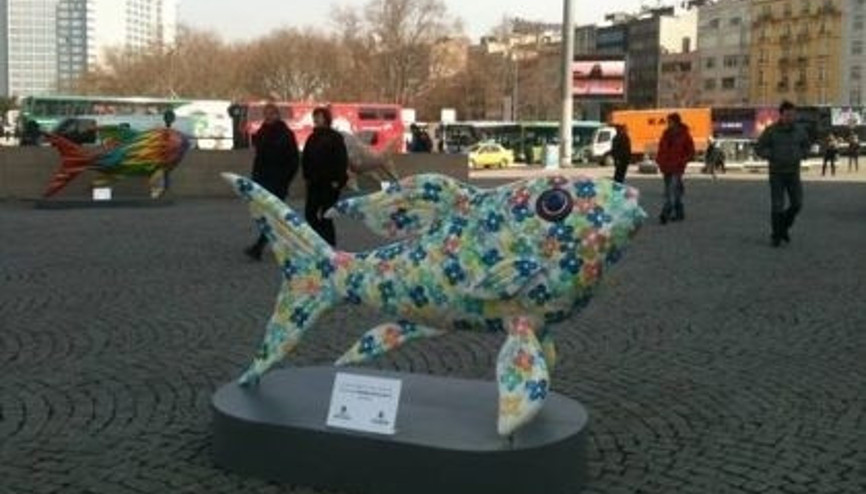 Taksim balıklarla doldu