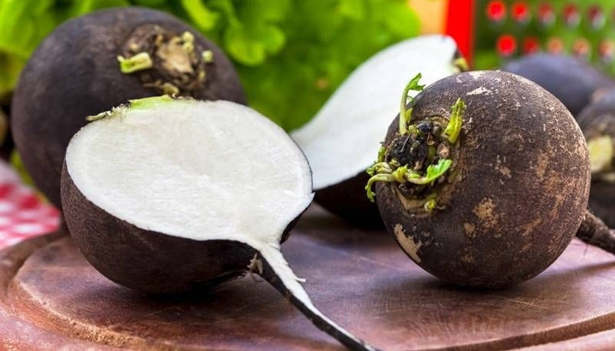 Böbrek taşının çaresi kara turpta