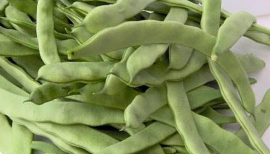 Taze fasulyenin faydalarını biliyor muydunuz