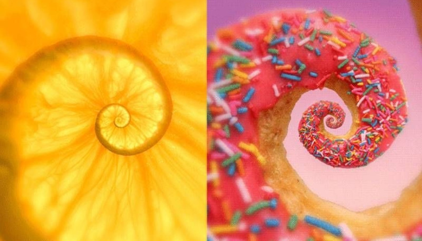 Günlük hayattaki objelere bir de böyle bakın