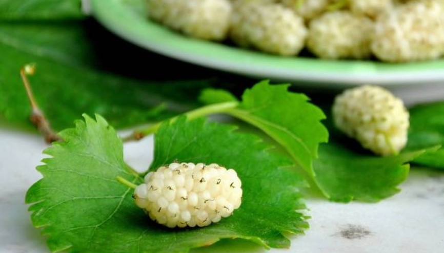 Halsizliğe karşı dut tüketin