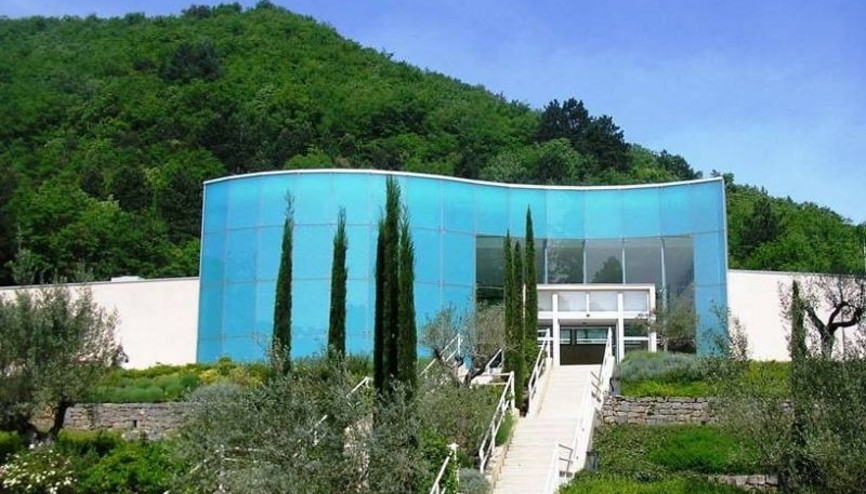 Avene, Fransa’ya tedavi için yine hasta gönderdi