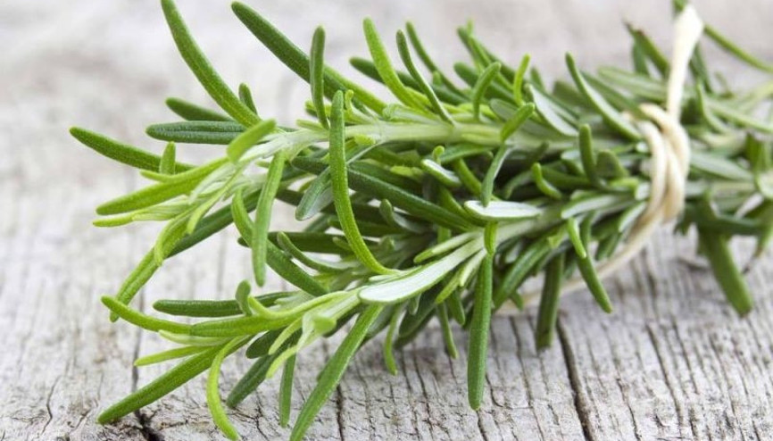 Yaz sivilcelerine karşı biberiye