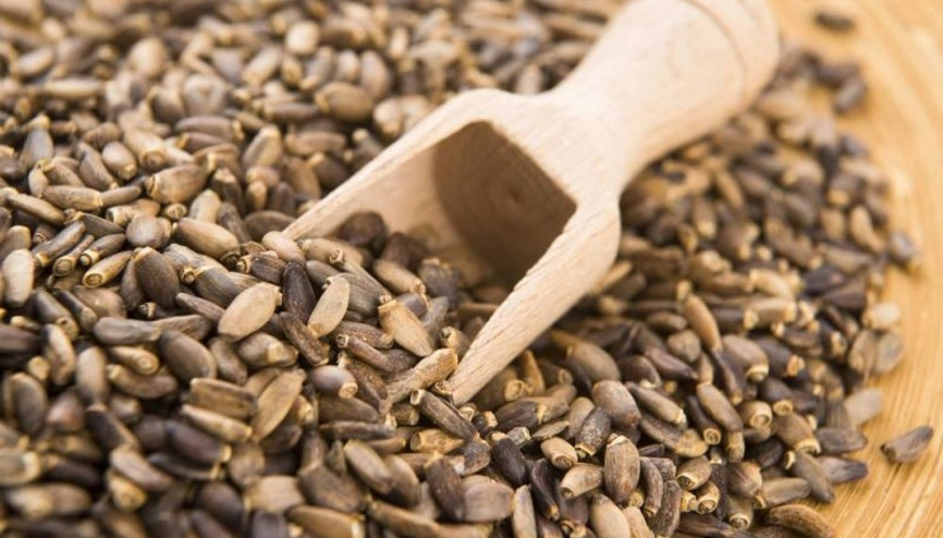 Deve dikeni tohumu karın yağlarıyla savaşıyor