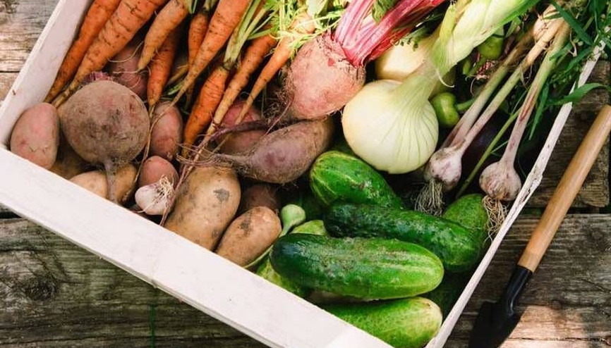 Raw Food (Çiğ beslenme) nedir