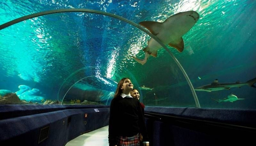 Sea Life Akvayum sizleri bekliyor