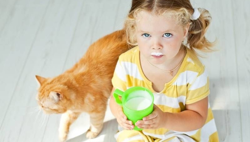 Çocuklarda inek sütü alerjisi nasıl anlaşılır