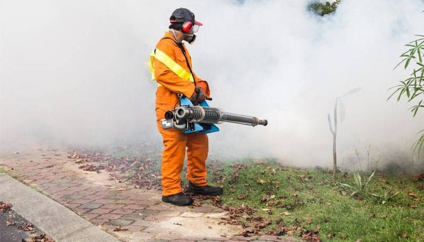 Zika virüsü nedir Zika virüsü belirtileri nelerdir