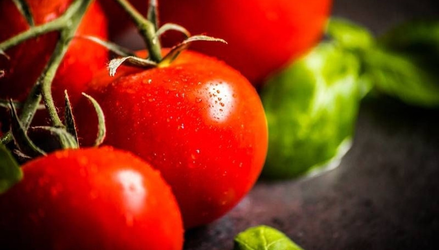 Prostat kanserinin ilacı domates