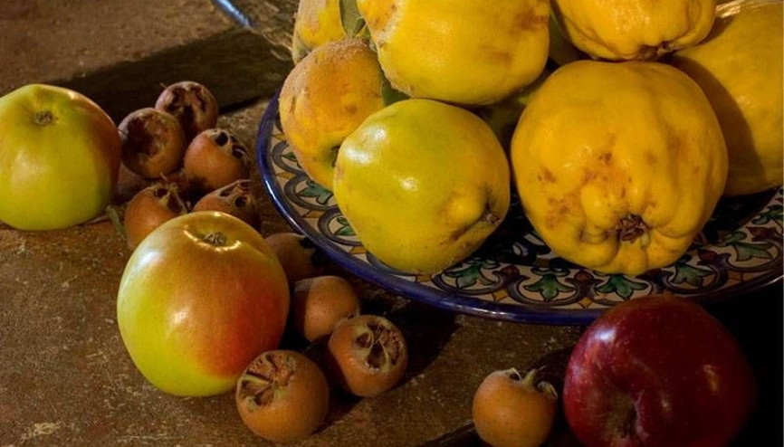 Bu meyvelerin çekirdeklerini yutmak tehlikeli