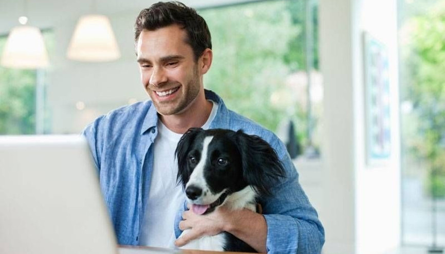 Evcil hayvanların insan hayatına etkileri neler