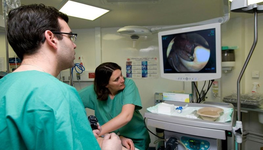 Kolonoskopi ve gastroskopi hangi durumlarda yapılır