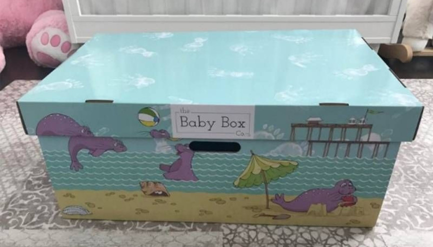 Bebeklerini karton kutuda yatırıyorlar