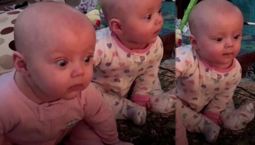 Dünyanın en sevimli şaşkınlığı