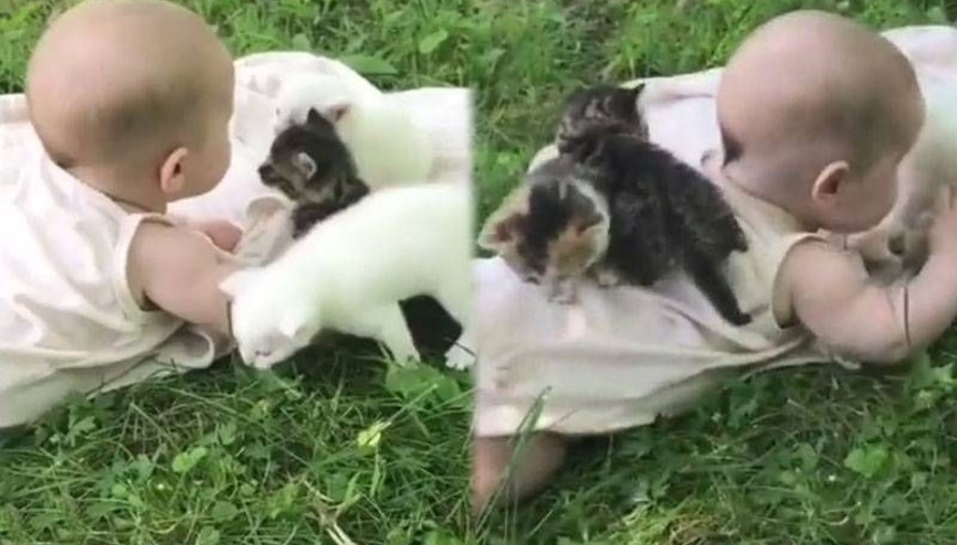 Minik bebeğin yavru kedilerle imtihanı