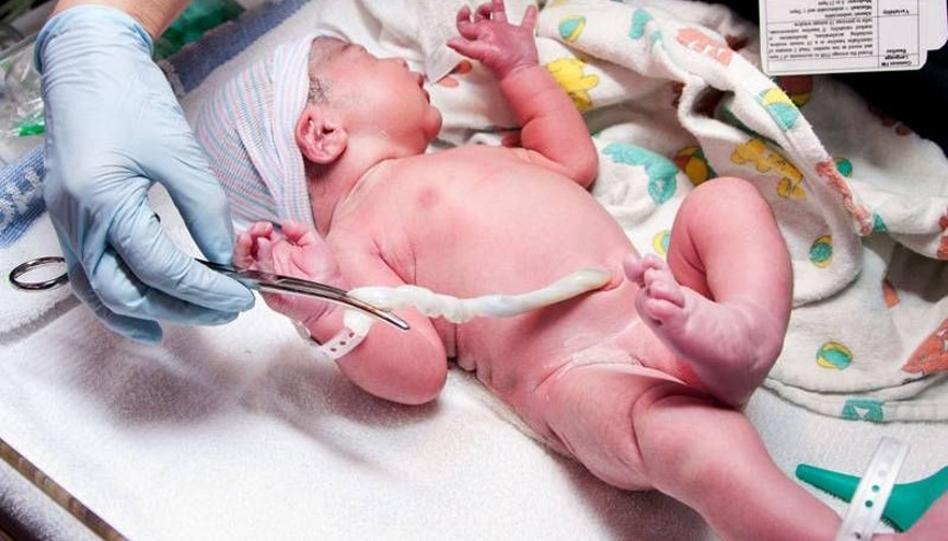 Bebek kordonunda bile zararlı kimyasal tespit edildi