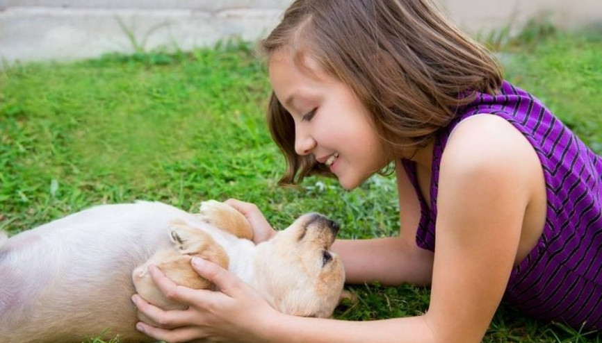 Öğrenciler sokak hayvanlarını unutmadı