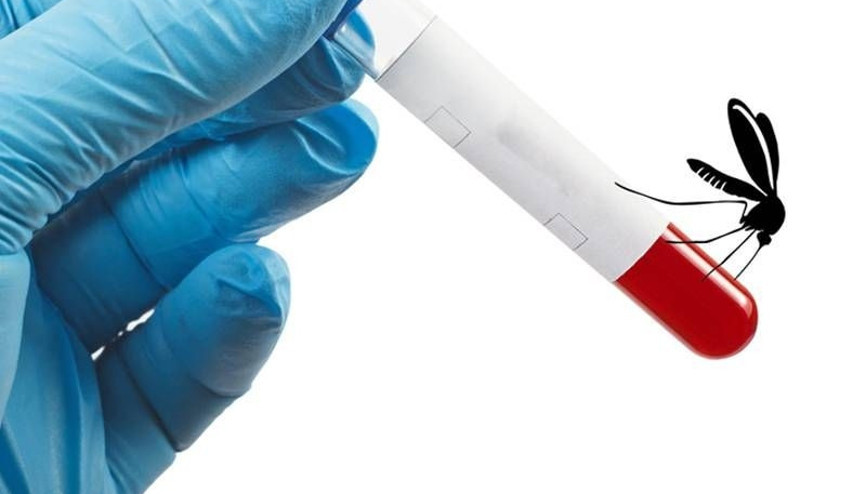 Zika tehdidi hızla yayılıyor Zika tehdidi hızla yayılıyor