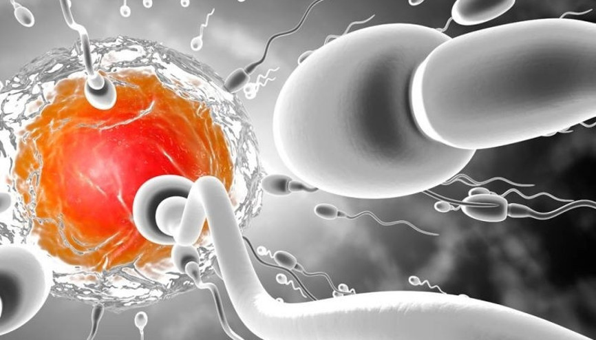 Morfolojik bozukluk nedir Kısırlığa sebep olur mu