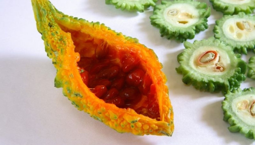 Kudret narının faydaları nelerdir