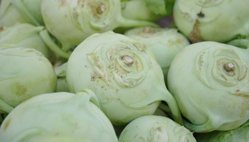 Alabaşın faydaları nelerdir Alabaş nasıl tüketilmeli Alabaşın faydaları nelerdir Alabaş nasıl tüketilmeli