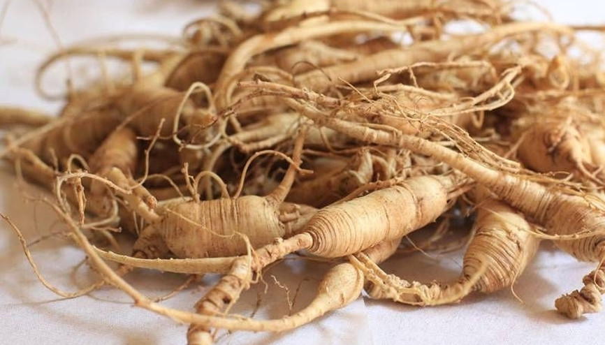 Ginseng nedir Ginseng faydaları ve tüketimi Ginseng nedir Ginseng faydaları ve tüketimi