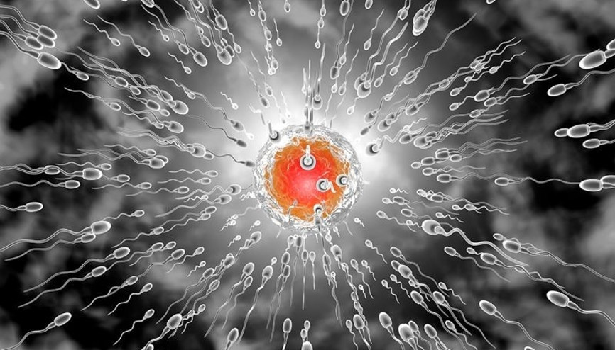 Boynu bükük spermlere dikkat