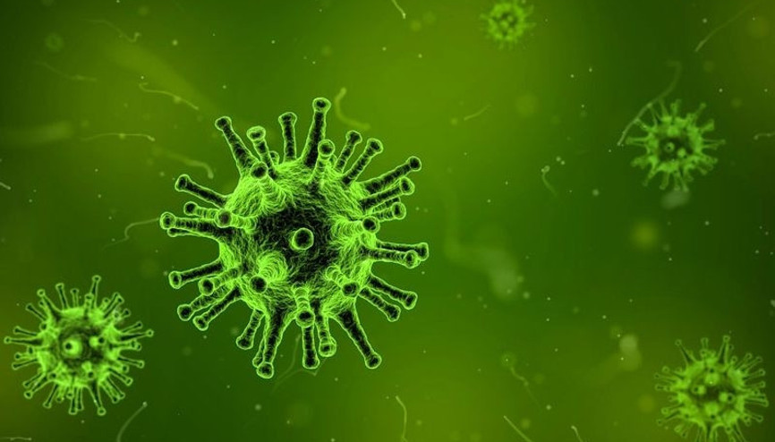 2019’da dünyayı tehdit edecek tehlikeler yayınlandı