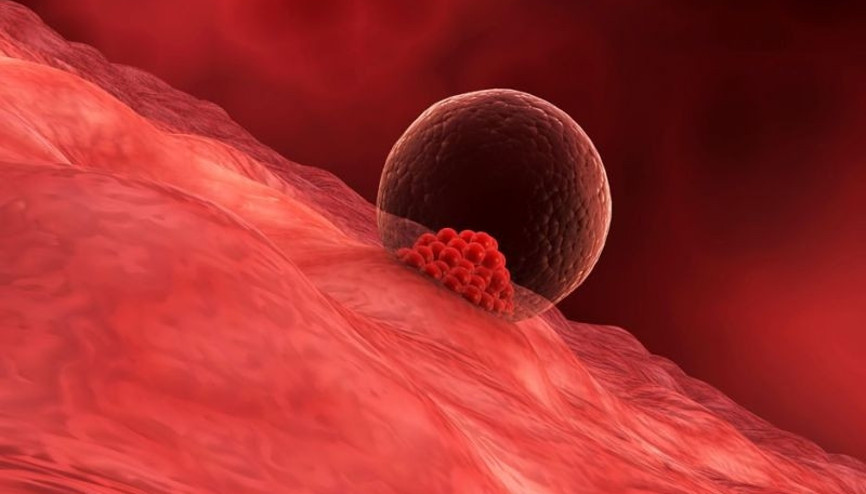 Yumurtalık rezervi nasıl hesaplanırKimlere yumurta dondurma önerilir Yumurtalık rezervi nasıl hesaplanırKimlere yumurta dondurma önerilir