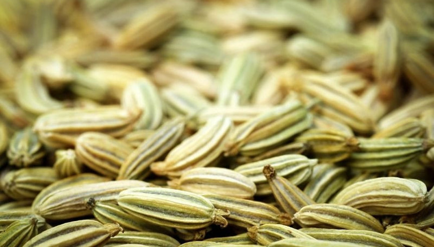 Çayı ayrı kendi ayrı şifalı: Rezene