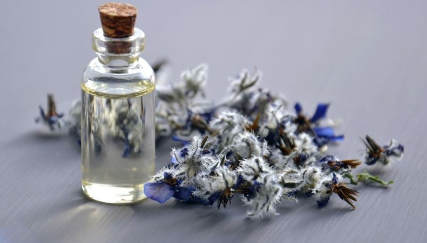 Bronşite iyi gelen bitkiler nelerdir