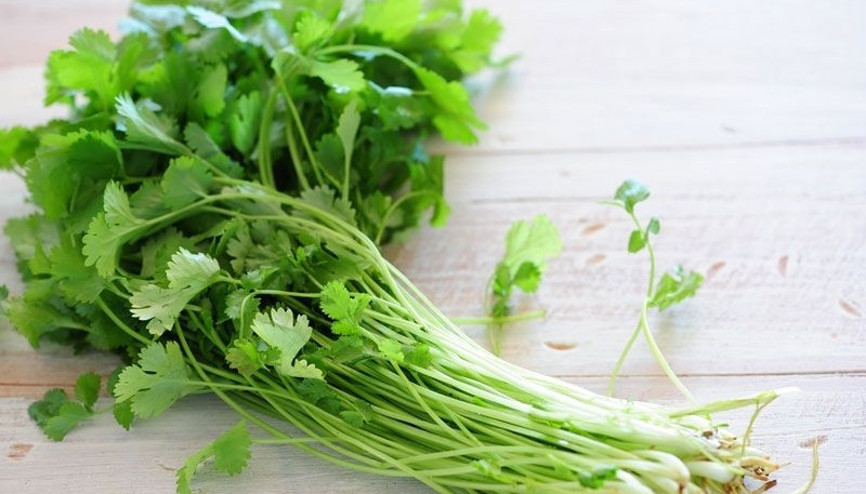 Maydanoza benziyor ama değil Kişnişin faydaları neler