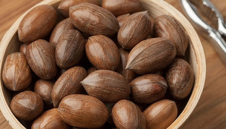 Vitamin zengini pikan cevizi nelere faydalı