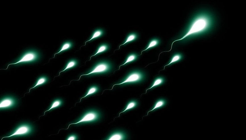 Dikkat, spermlere zarar verdiği kanıtlandı