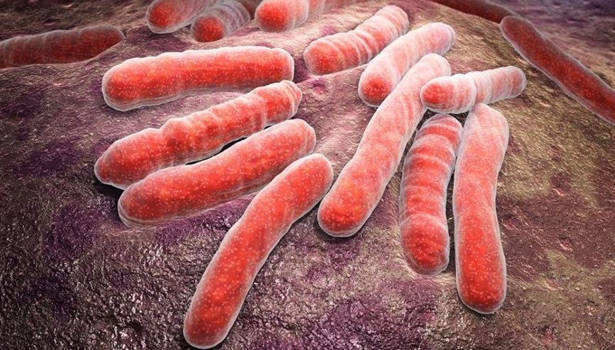 Her yıl 10 milyon kişiye tüberküloz tanısı konuluyor