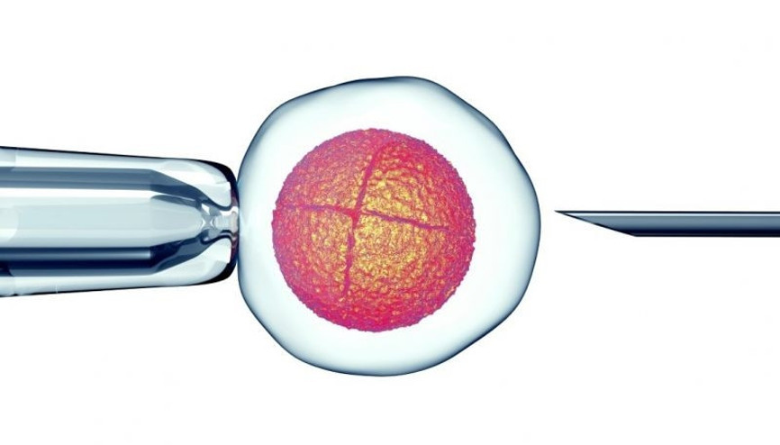 Kadınlarda kısırlığa yol açan gen bulundu