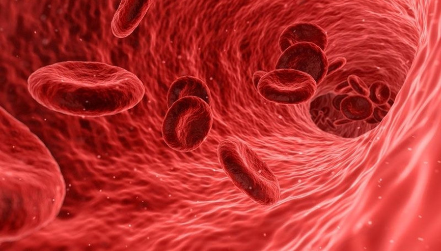 Akdeniz anemisi göçlerle Avrupaya yayıldı