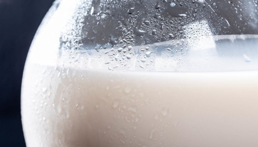 İnek sütü alerjisi nedir İnek sütü alerjisi nasıl anlaşılır