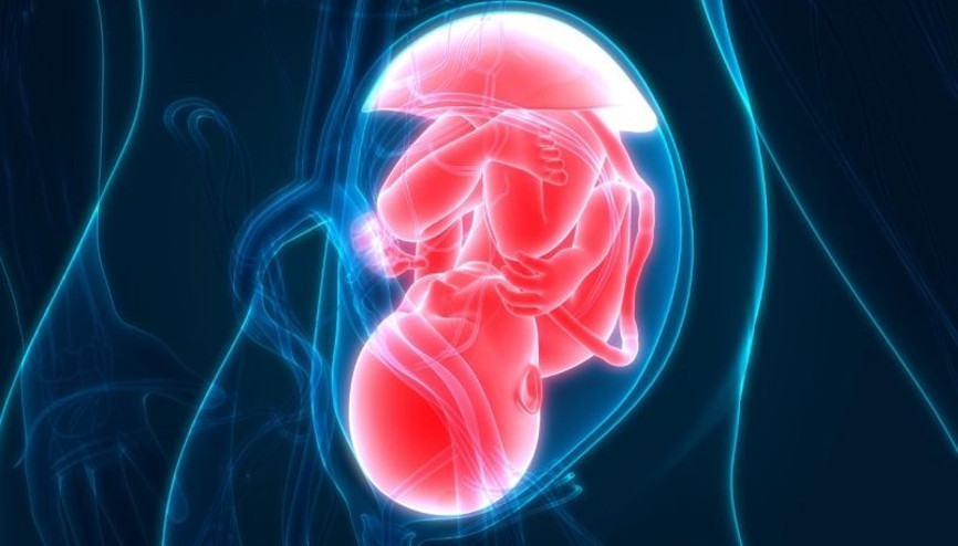 Stresli annelerin erkek bebekleri kısır olabilir Stresli annelerin erkek bebekleri kısır olabilir