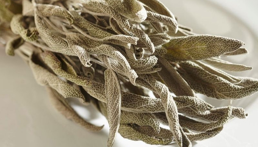 Ada çayının faydaları neler, kilo vermede etkili mi