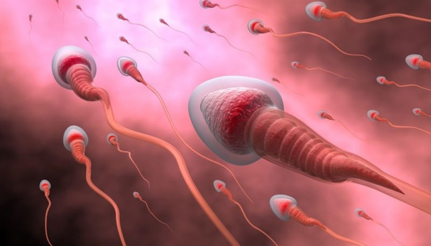 Erkek kısırlığı tedavisinde yeni bir teknik: ROSI Erkek kısırlığı tedavisinde yeni bir teknik: ROSI
