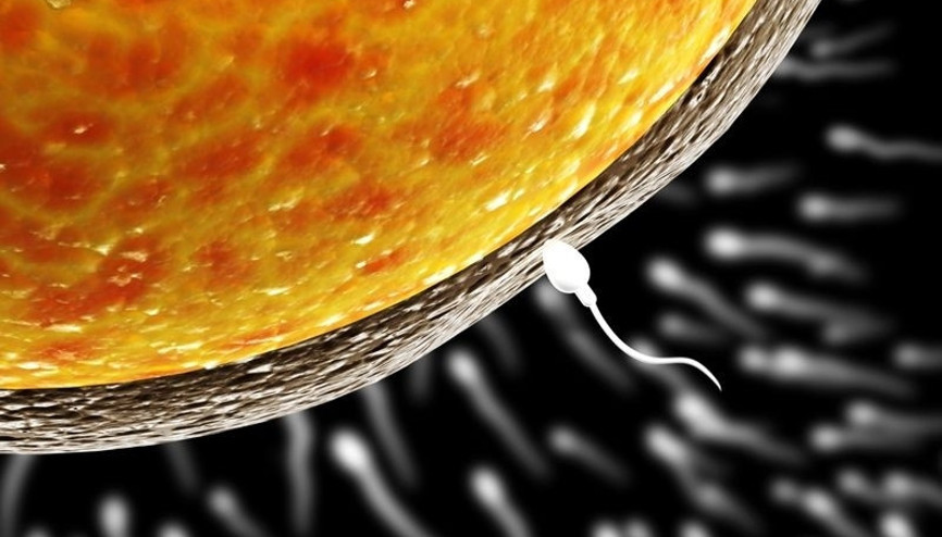 Sperm bozukluklarının tedavisinde önce doğru tanı konulmalı
