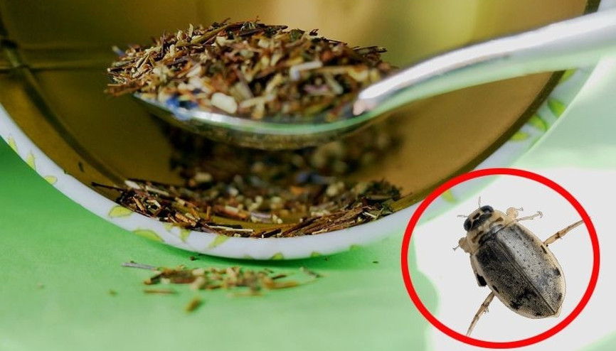 Bitki çaylarına dikkat İçinde böcek parçaları, kaş ve kirpik bulundu