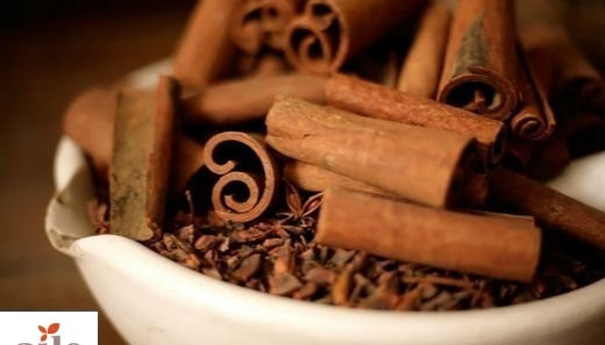 Baharatların Faydaları