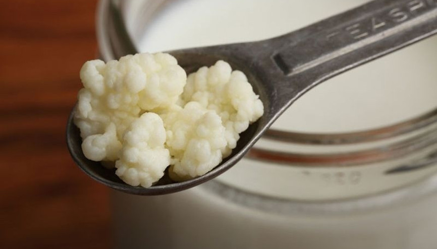 Vücut sağlığının kilit noktası: Sağlıklı bağırsaklar