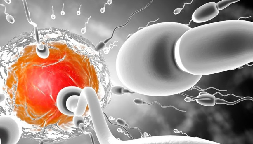 Çocuk sahibi olamamanın nedeni pili tükenmiş spermler olabilir Çocuk sahibi olamamanın nedeni pili tükenmiş spermler olabilir