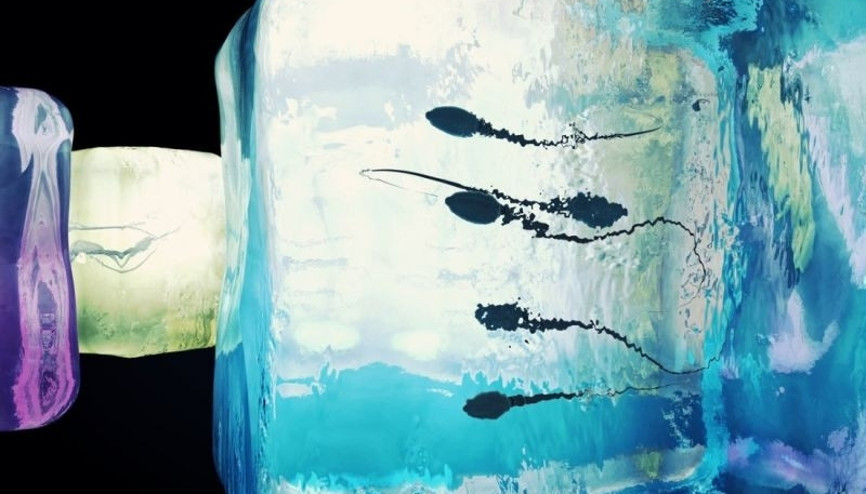Erkekler arasında sperm dondurma trendi popüler hale geliyor